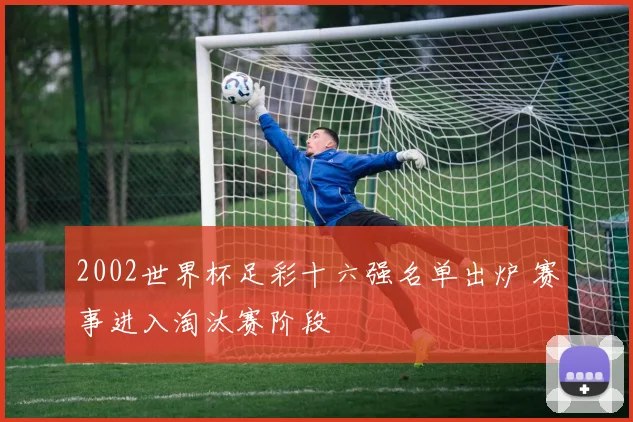 2002世界杯足彩十六强名单出炉 赛事进入淘汰赛阶段